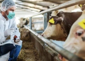 Yozgat’ta karantina uygulaması