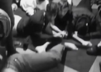 Mahzen-16 operasyonlarında 3 ayrı organize suç örgütü çökertildi