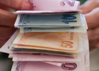 Bakan Göktaş: Ödemeleri bugün itibarıyla hesaplara yatırıyoruz