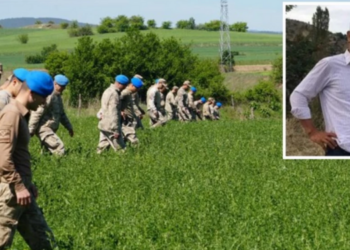 ‘Kesik baş’ cinayetinde yeni detay!
