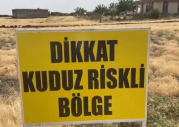 Kuduz paniği: Karantinaya alınan bölge sayısı 3’e çıktı!