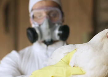 Dünya Sağlık Örgütü uyardı: O virüsten kaynaklı ilk ölüm gerçekleşti…