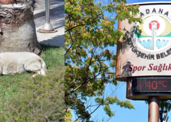 Adana’da sıcaklık 40 dereceyi buldu!