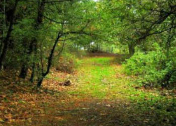 Bir ilde daha yasaklandı!