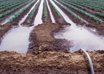 Bağ ve bahçe sulayanın suyu kesilecek!