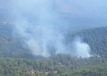 Ortaca’da orman yangını