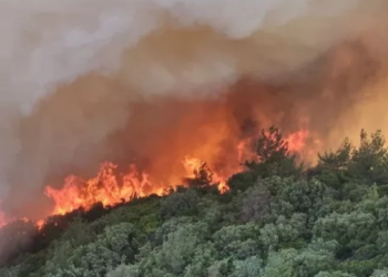 Çanakkale’deki yangın kontrol altına alındı