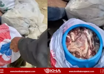 Hakkari’de dağ keçisini avlayan 3 kişiye büyük ceza