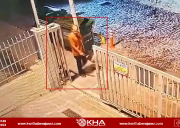 Fatih’te sokak köpeği dehşeti!