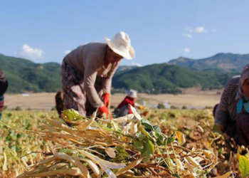 Türkiye’de kadınlar kayıt dışı çalışıyor!