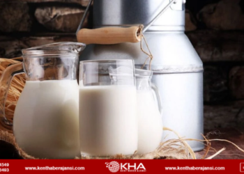 Çin, AB süt ürünlerine soruşturma başlattı