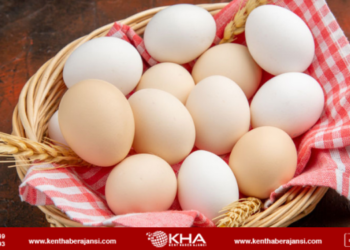 Yumurtaya 35 kuruş zam!