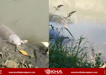 Bartın Irmağı’nda büyük tehlike!