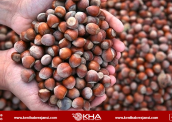 Yıllık fındık ihracat verileri 2 milyar doları aştı!