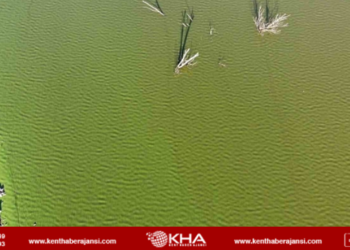 Kars Baraj Gölü’nde müsilaj endişesi!