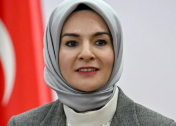 Nüfus Politikaları Yüksek Kurulu kuruluyor