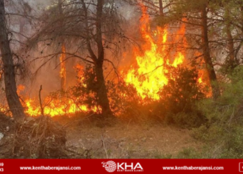 Çanakkale’deki 4 hektarlık orman yangınında 2 kişi gözaltına alındı!