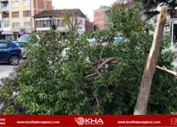 Bursa’yı vuran lodos hayatı olumsuz etkiledi!