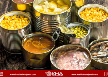 Dev konserve markasının ürünlerinde salmonella tespit edildi!