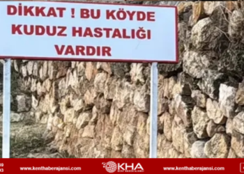 Adıyaman’da kuduz alarmı!