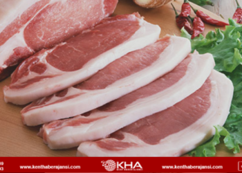 Kebap ve köfteden domuz eti çıktı!