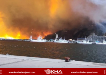 Japonya’da orman yangını paniği