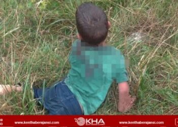 Başıboş köpek sorunu bir canı daha hastanelik etti!