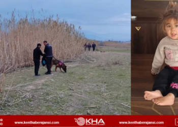 Nazlı’dan haber yok!