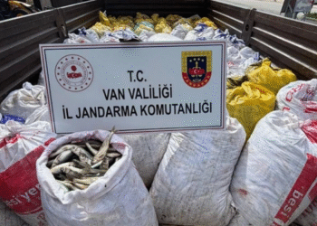 Van’da kaçak balıkçılığa ağır ceza
