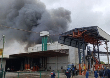 Sakarya’da fındık kırım fabrikasında yangın