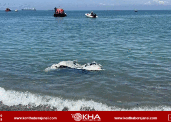 Hatay’da angus paniği