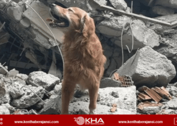 6 Şubat depreminde 18 kişiyi kurtarmıştı: Killian hayatını kaybetti