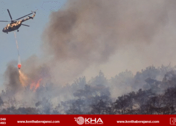 Foça’da orman yangını