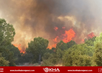 İki şehir yangınla mücadele ediyor!