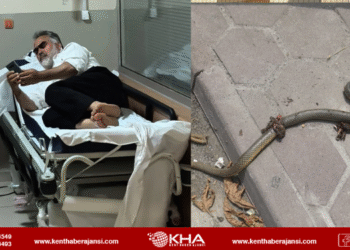 Kendisini ısıran yılanla hastaneye gitti