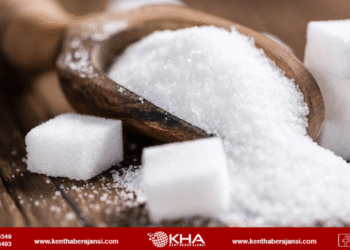 1 ay şeker kullanmayınca ne olur?