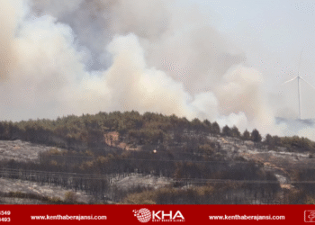 Şarköy’de yangın devam ediyor