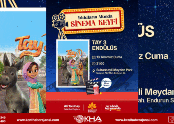 Sultanbeyli’de Yıldızların Altında Sinema Keyfi Başlıyor