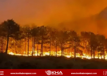 Bursa’da yangına neden olan 4 şüpheli yakalandı