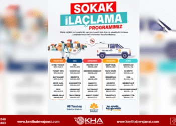 Sultanbeyli’de İlaçlama Çalışmalarını Artırıldı