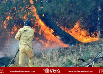Türkiye’nin ciğerleri yanıyor