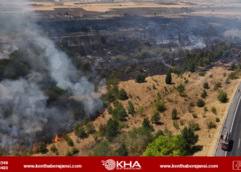 Kırklareli’nde ağaçlık alanda yangın