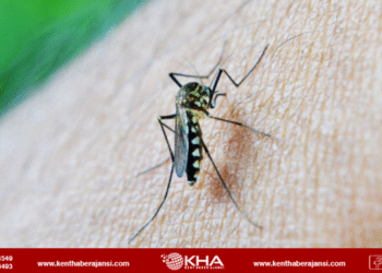 Çin’de ‘chikungunya’ virüsü alarmı!