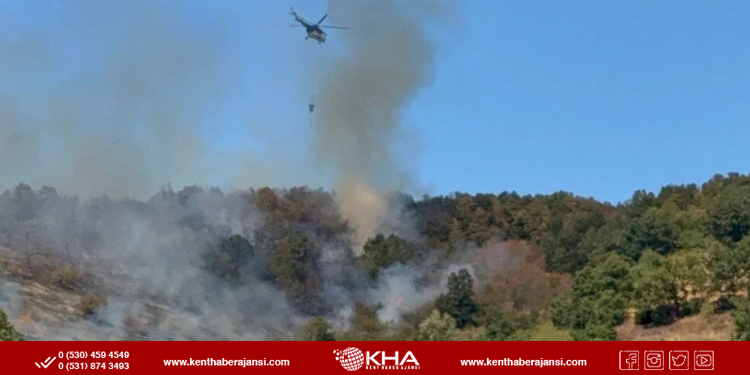 Düzce’de orman yangını!