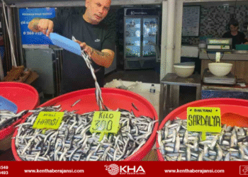 Balık tezgahlarında son durum