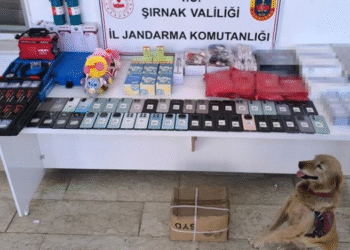 Şırnak’ta kaçakçılık operasyonu: 3 kişi tutuklandı