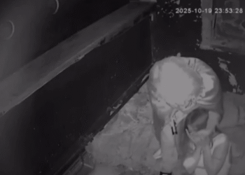 İstanbul’da korku evinde korku dolu işkence anları!