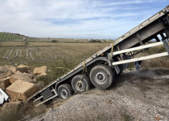 Şarampole devrilen tırın sürücüsü öldü
