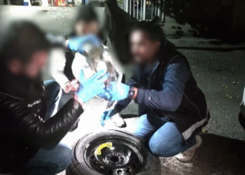 Tunceli merkezli 3 ilde narkotik operasyonu!