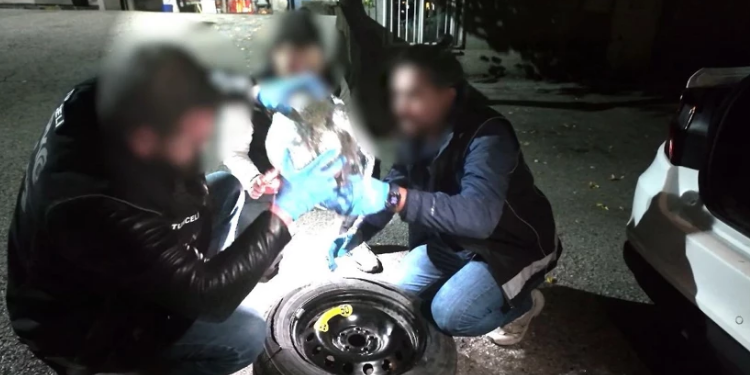 Tunceli merkezli 3 ilde narkotik operasyonu!